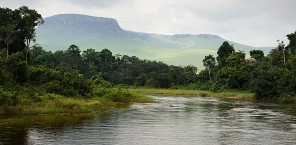 What do you know about the conflict in Congo?