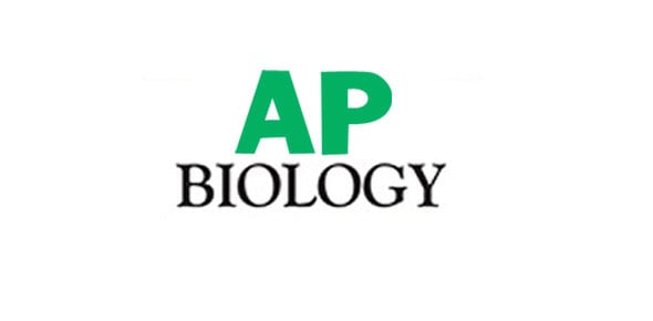 AP Biology Ch 5 Outline Quiz Test