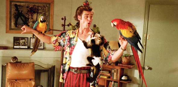 ACE Ventura Pet Detective Quizzes & Trivia