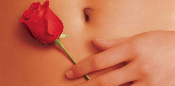 American Beauty Quizzes & Trivia