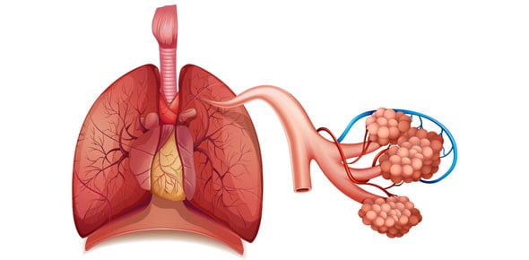 Respiratory System | Pneumonia & Tuberculosis NCLEX Quiz 38