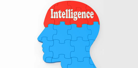 IQ Quizzes & Trivia