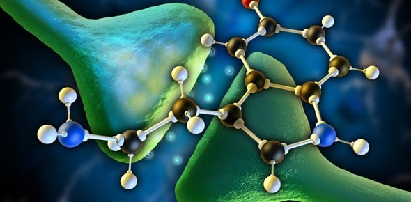 Quiz On Endocrine Glands And Hormones Functions