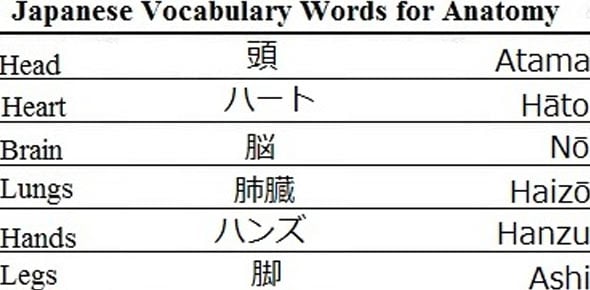 Japanese Vocab Quizzes & Trivia