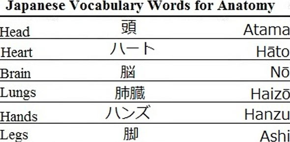 Japanese Vowel Quiz (Pre Quiz)