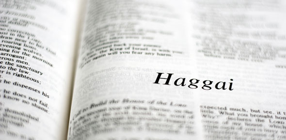 Book Of Haggai Quizzes & Trivia