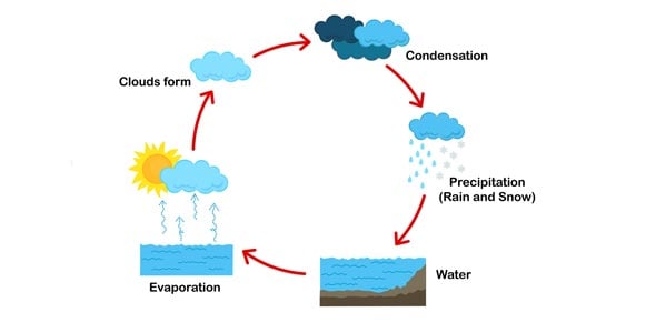 Mechanics Of The Water Cycle Quiz Questions