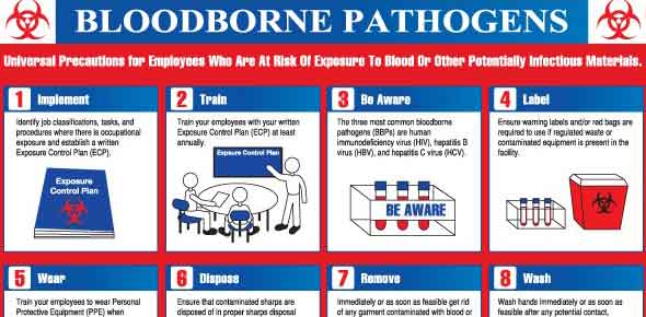 Bloodborne Pathogens Verification- Greenhill School