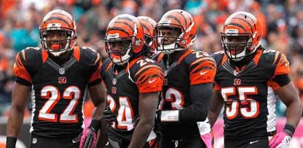 The Ultimate Fan Quiz On NFL - Cincinnati Bengals