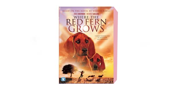 Where The Red Fern Grows Chapter 20 Quiz