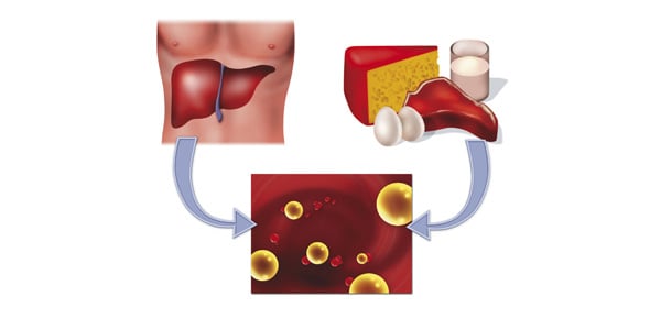 Cholesterol Quizzes & Trivia