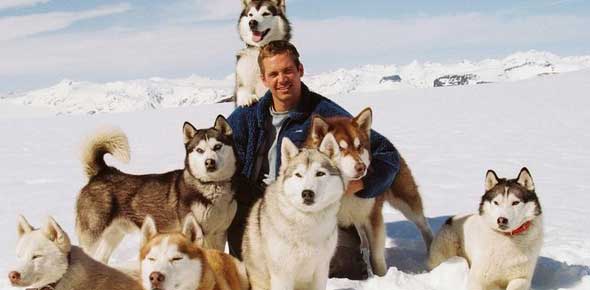 IT Is Eight Below Quizzes & Trivia