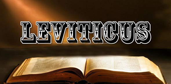 Leviticus, Numbers, Deuteronomy, Joshua, Judges, And Ruth Test