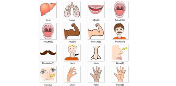 Body Parts Vocabulary Quiz