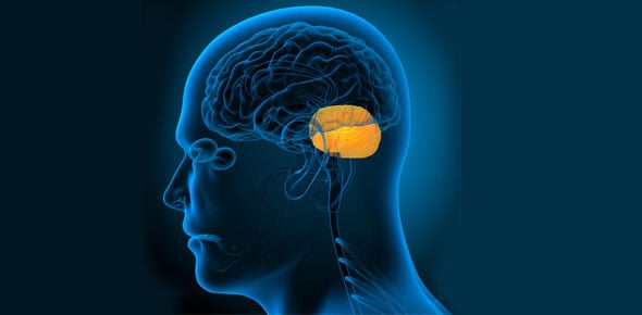 Pituitary Gland Quizzes & Trivia