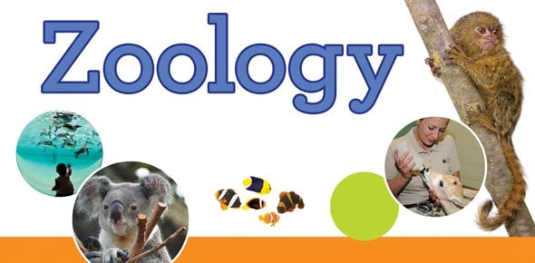 Zoology Quizzes & Trivia