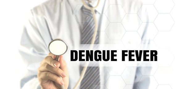 Dengue Quizzes & Trivia