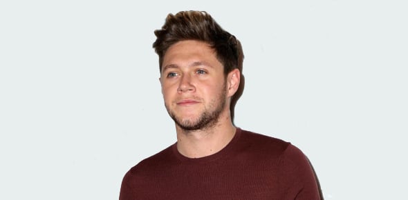 Niall Horan Quizzes & Trivia