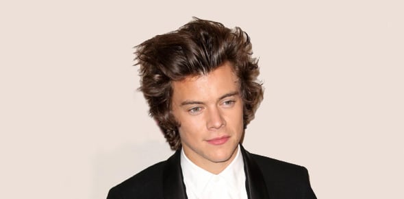 Harry Styles Quizzes & Trivia