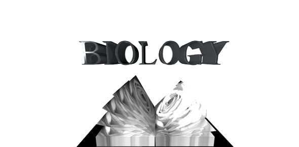 Biology Chapter Quizzes & Trivia