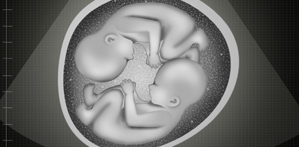 Semester 2 Week 2 Embryo - Neuroembryology