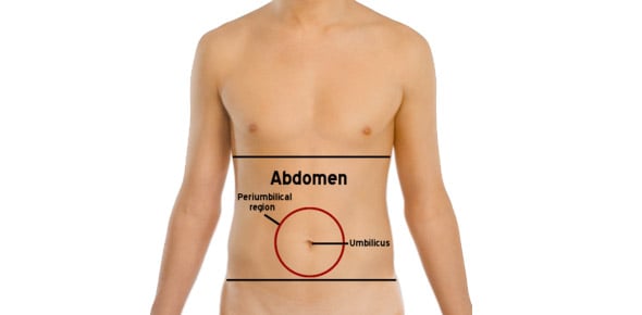 Abdomen A- Vascular Anatomy