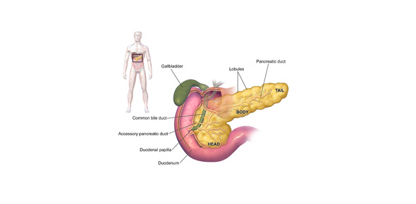 Pancreas Pathology- Congenital Anomalies