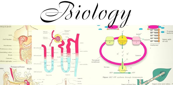 Chapters Of Biology Quizzes & Trivia