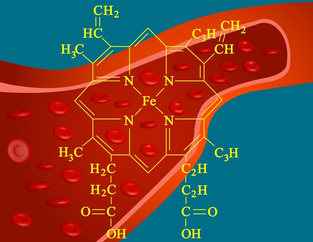 Hemoglobin Quizzes & Trivia