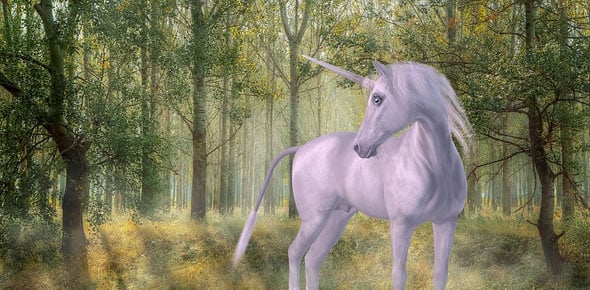 Unicorn Quizzes & Trivia