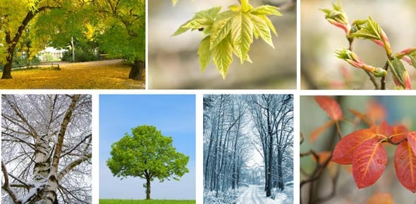 Nature Quizzes & Trivia