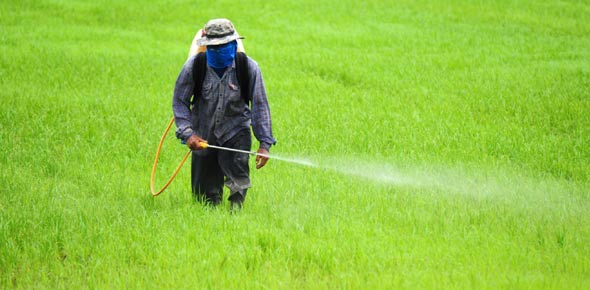 Pesticide Quizzes & Trivia