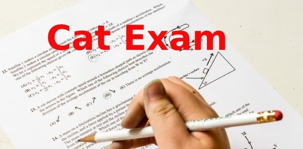 CAT Exam Quizzes & Trivia