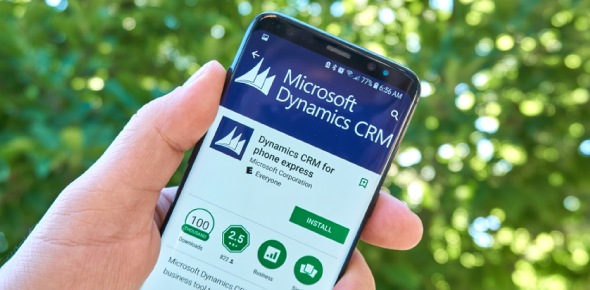 Microsoft Dynamics CRM Customization & Configuration