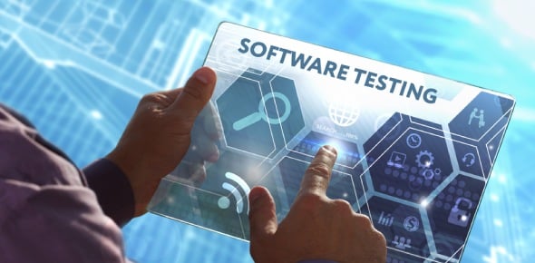 Software Testing (software application cost)