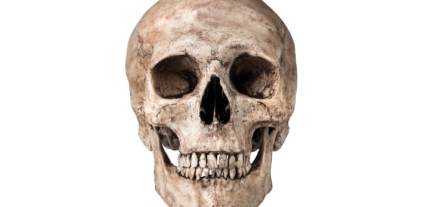 Take The Inferior View Of Skull Quiz And Explore Your Anatomy Expertise