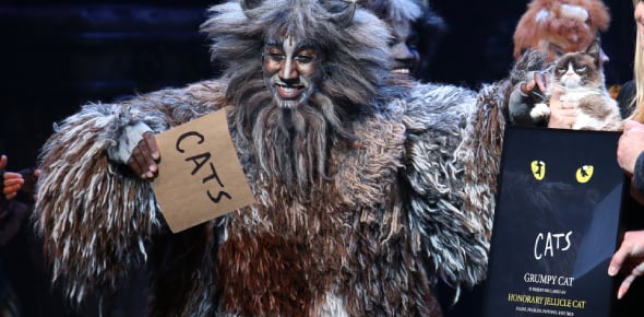 Which Character From Cats The Musical Is Your Kitty? - Quiz