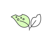 Plant Pathology Quizzes & Trivia