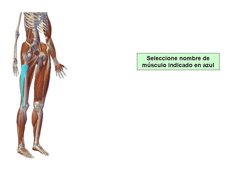 Para obtener chuleta presione aca.