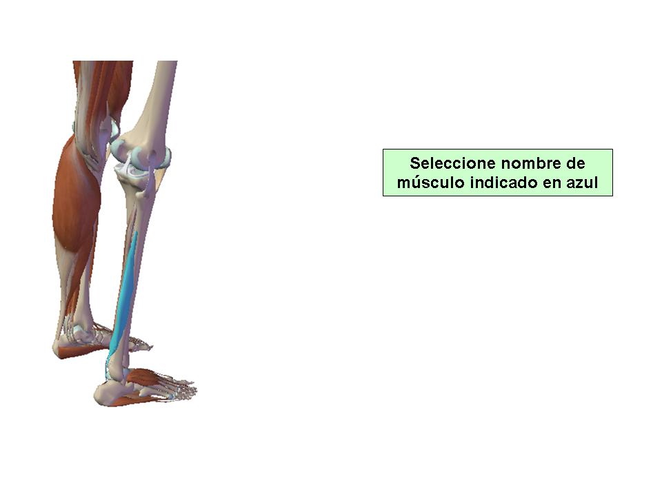 Para obtener chuleta presione aca.