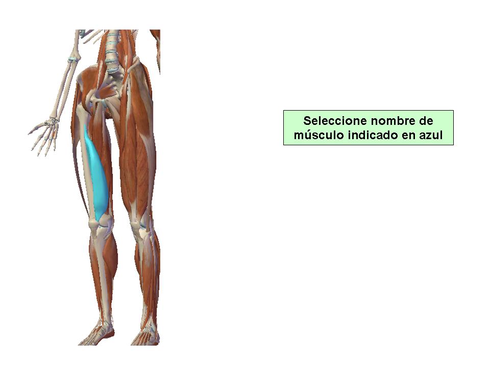 Para obtener chuleta presione aca.