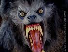 Are You A Werewolf Or Villager - Quiz