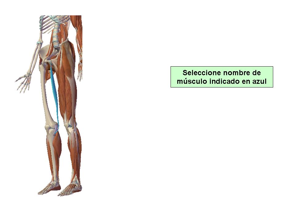 Para obtener chuleta presione aca.