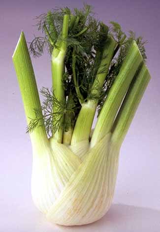 Retail Plu Codes For Produce