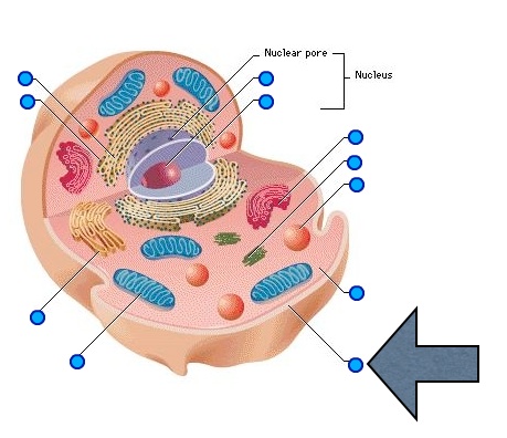 Image: https://www.proprofs.com/quiz-school/upload/yuiupload/1226700361.jpg