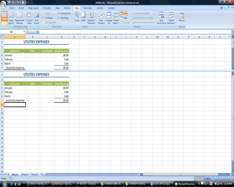 OCP A - Computer Applications 1 - Excel 2007 - Quiz, Trivia & Questions