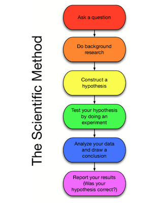 Brain Test Quiz Questions With Answers - ProProfs Quiz