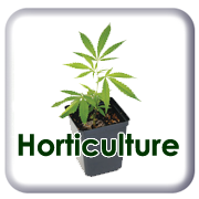 Ggeco University - Horticulture Exam - Quiz
