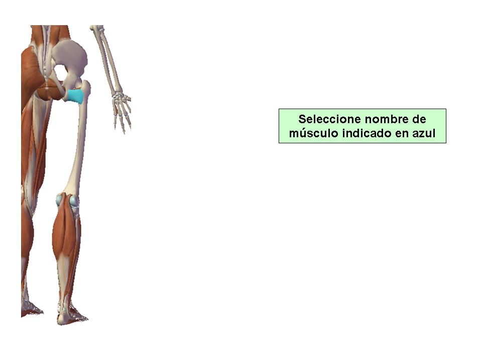 Para obtener chuleta presione aca.