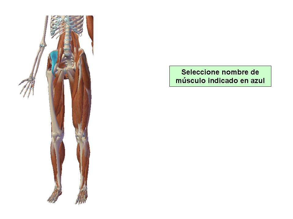 Para obtener chuleta presione aca.